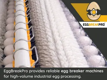 Egg Breaking Machines And Egg Washing Machines