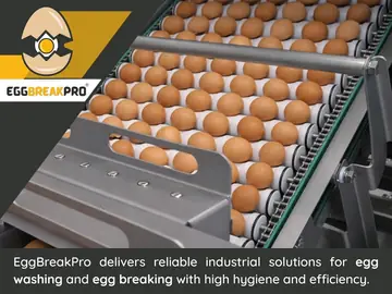 Egg Breaking Machines And Egg Washing Machines