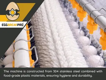 Egg Breaking Machines And Egg Washing Machines
