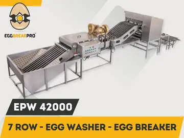 EPW-42000 Egg Breaking Machine With Egg Washing Machine
